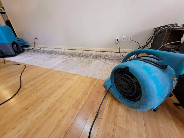 Professional Water Damage Repair technician working in Palmdale, CA